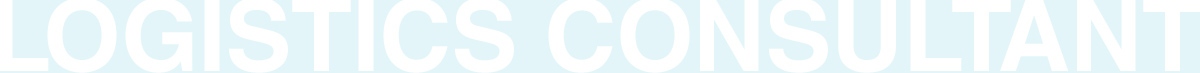 LOGISTICS CONSULTANT